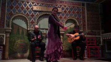 [ID: b9ZQD3PXJ7U] Youtube Automatic