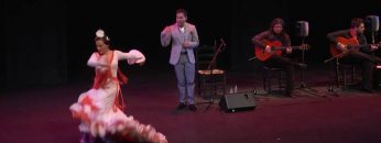 [ID: BaC8-RFTBXU] Youtube Automatic