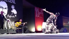 [ID: bAuyY0014LA] Youtube Automatic