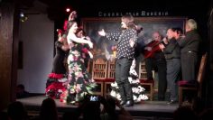 [ID: BCgaUbgGIw0] Youtube Automatic