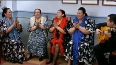 [ID: bejnmp6b_NU] Youtube Automatic