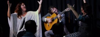 [ID: Bfuovkpdksc] Youtube Automatic