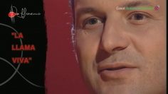 [ID: bhE8YVjWHOA] Youtube Automatic