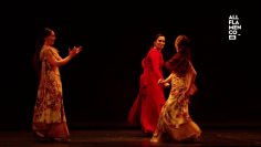 [ID: BhOYAkBvVFs] Youtube Automatic