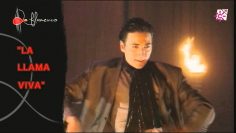 [ID: bi-mvoTCGKQ] Youtube Automatic