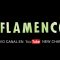 iFLAMENCO