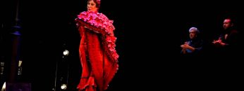 [ID: blfRVCSe9to] Youtube Automatic