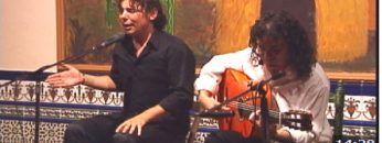 [ID: bo-gN2B1B4M] Youtube Automatic