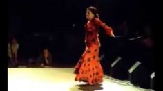 [ID: BOA5hbcTvVI] Youtube Automatic