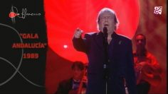 [ID: boAoaI7GQRk] Youtube Automatic