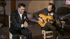 [ID: Bp5XkgEcKpM] Youtube Automatic