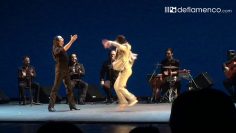 [ID: bp622liG6Lo] Youtube Automatic