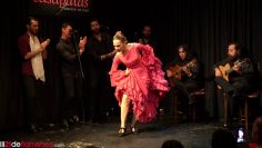 [ID: bpDUVwSQzEE] Youtube Automatic