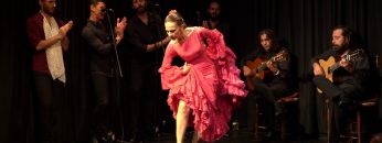 [ID: bpDUVwSQzEE] Youtube Automatic