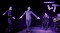 [ID: btxc420B1Lg] Youtube Automatic