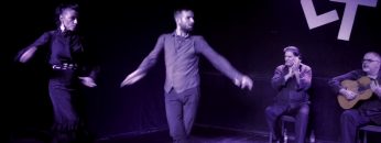 [ID: btxc420B1Lg] Youtube Automatic