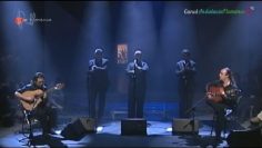 [ID: bwgQL3Bl1fo] Youtube Automatic