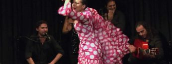 [ID: _bX7LtCFerg] Youtube Automatic