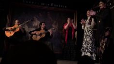 [ID: Bx8W8h69DYM] Youtube Automatic