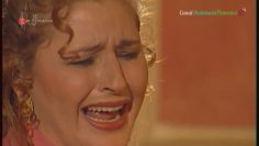 [ID: bzjfswh4AMY] Youtube Automatic