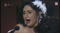 [ID: C4C-w7aaNo4] Youtube Automatic