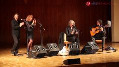 [ID: c8Wn7V9x1Uk] Youtube Automatic