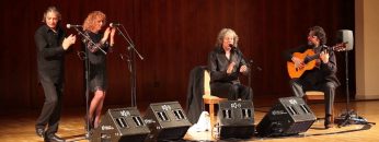 [ID: c8Wn7V9x1Uk] Youtube Automatic