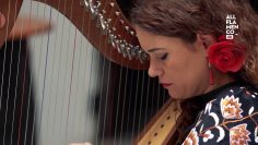 [ID: cbsrFBLtYGo] Youtube Automatic