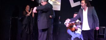 [ID: cCEmOFb8LB8] Youtube Automatic