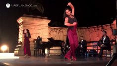 [ID: Cdgd-AiyYTs] Youtube Automatic