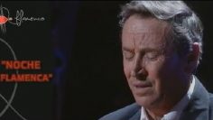 [ID: cEOIJV4tEO4] Youtube Automatic