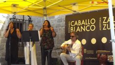 [ID: ciG67hhAQ4o] Youtube Automatic