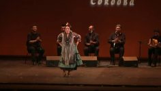 [ID: CMV09BCVA74] Youtube Automatic