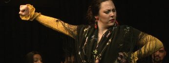 [ID: cp_r1Okqngg] Youtube Automatic