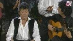 [ID: cr2DClUsI3k] Youtube Automatic