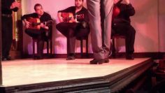 [ID: CvmWZss2UA4] Youtube Automatic