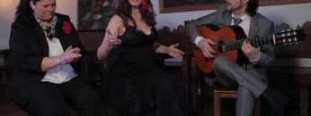 [ID: cwcy8sU5tn8] Youtube Automatic