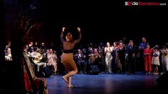 [ID: cWdC2BQPmD0] Youtube Automatic