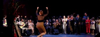 [ID: cWdC2BQPmD0] Youtube Automatic