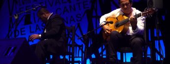 [ID: cx8gt80qp64] Youtube Automatic