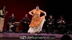 [ID: cy4CA7aDGBc] Youtube Automatic