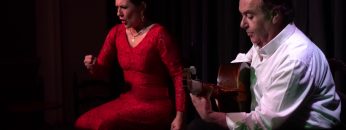 [ID: CyHcCxaAePA] Youtube Automatic