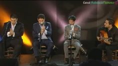 [ID: d0zp48uUAeI] Youtube Automatic