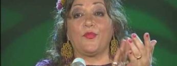 [ID: d8oOo0e-V2w] Youtube Automatic