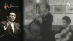 [ID: D99mo6y44hc] Youtube Automatic