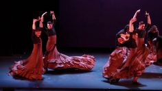 [ID: dA70cxxCBoI] Youtube Automatic