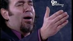 [ID: dAucg8gNmqo] Youtube Automatic