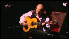 [ID: dcCeYEOPk9U] Youtube Automatic