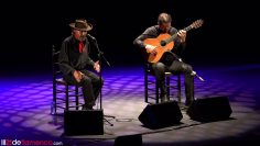 [ID: DfntHpfokZ8] Youtube Automatic