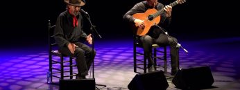 [ID: DfntHpfokZ8] Youtube Automatic